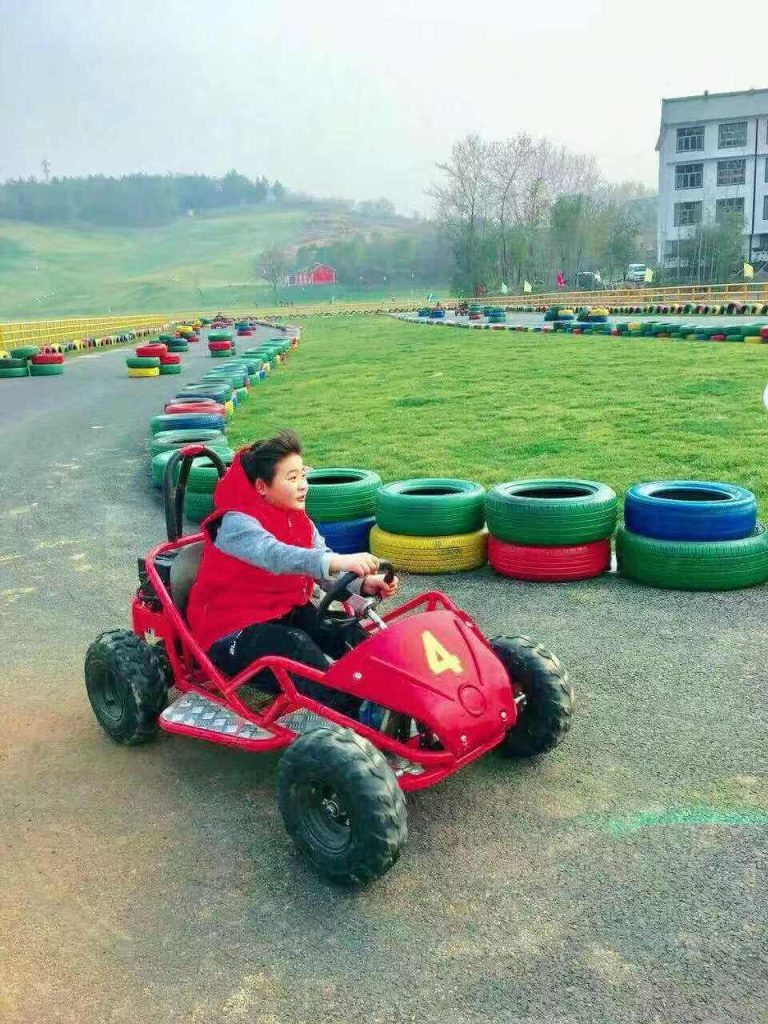 electric off road go kart