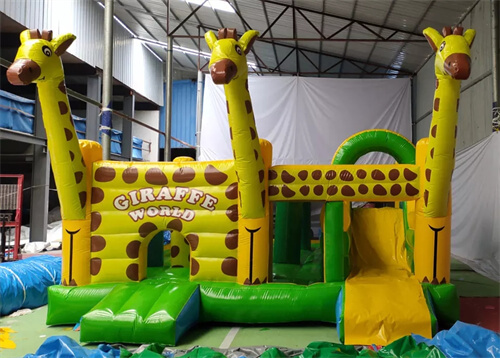 bounce house inflatable