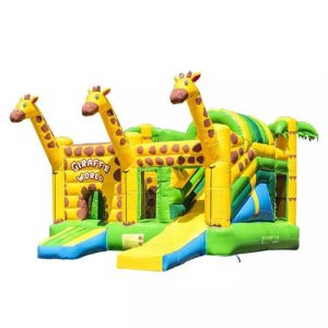 bounce house inflatable