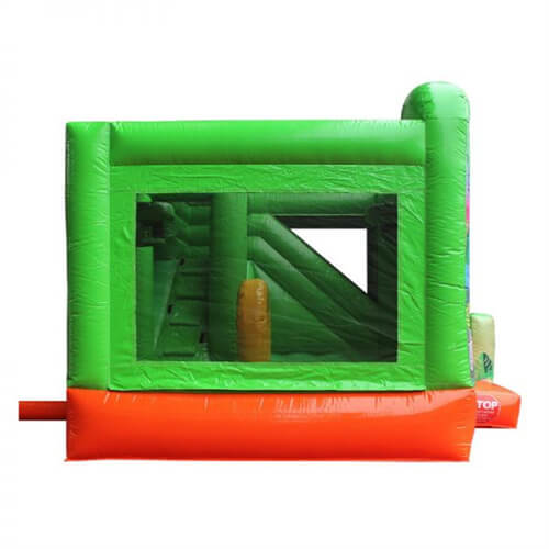 bouncer house with slide