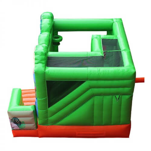 bouncer house with slide