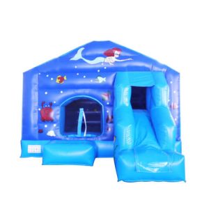 bounce house combo for sale