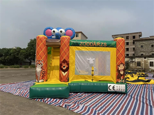 bounce house combo