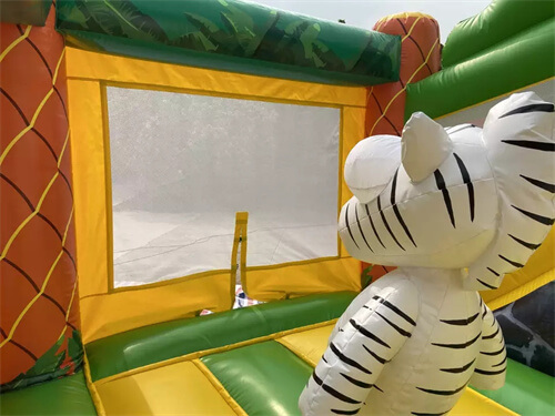 bounce house combo