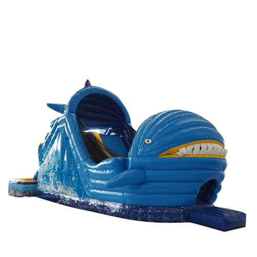 best inflatable water slide