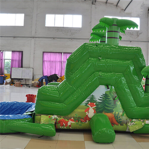 backyard inflatable water slide