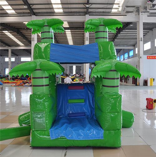 backyard inflatable water slide