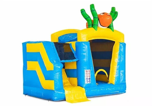 bouncy castle water slide