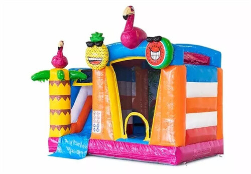 bounce house slide combo