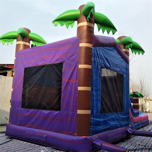 inflatable bounce house water slide