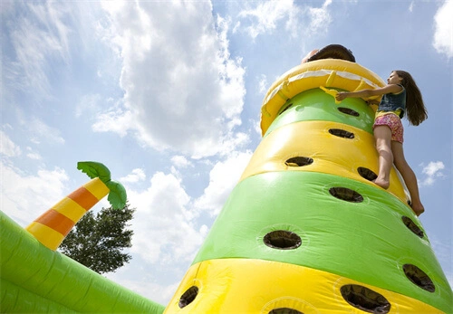 rock climbing wall inflatable