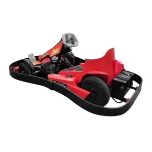 adult go kart