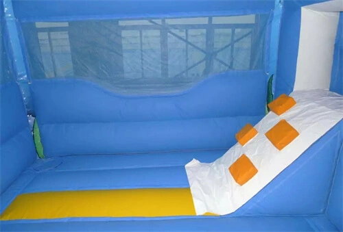 bounce house and slide