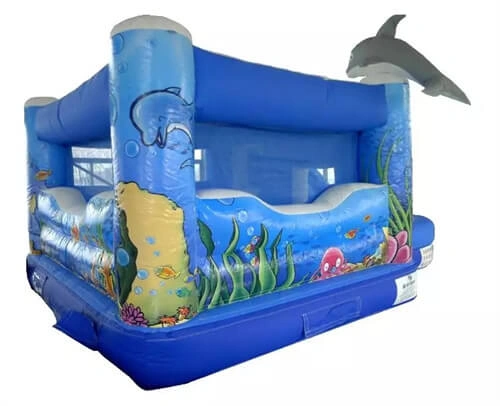 bounce house and slide