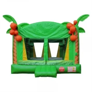 castle bounce house