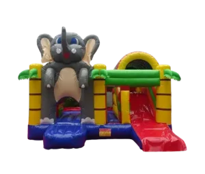 moon bounce