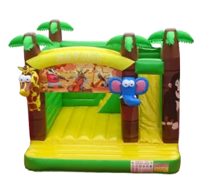 moon bounce for sale