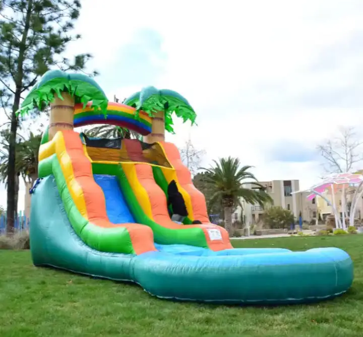 Mini Inflatable water slide